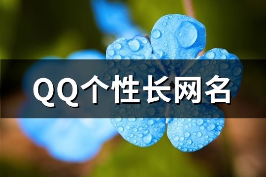 QQ個性長網名(137個)