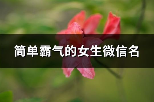 簡單霸氣的女生微信名(精選86個)