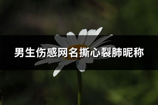 男生傷感網名撕心裂肺昵稱(170個)