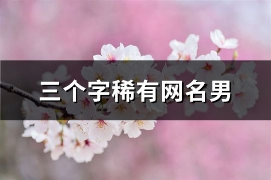 三個字稀有網名男(共186個)