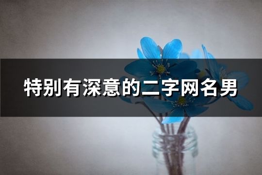 特別有深意的二字網名男(精選173個)