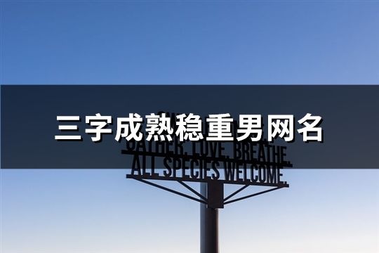 三字成熟穩重男網名(160個)