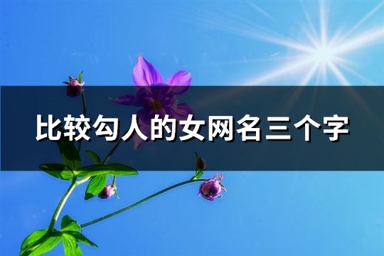 比較勾人的女網(wǎng)名三個字(精選70個)