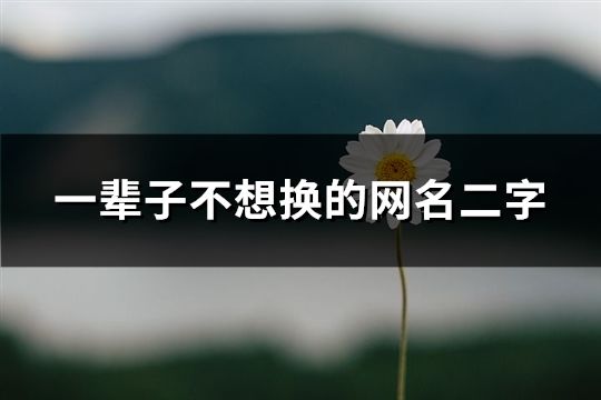 一輩子不想換的網名二字(共102個)