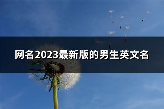 網名2023最新版的男生英文名(精選63個)