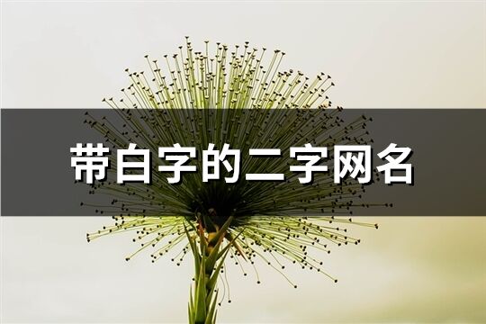 帶白字的二字網名(精選165個)