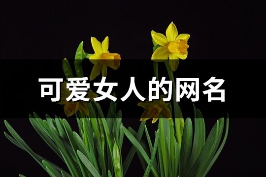 可愛女人的網名(共209個)
