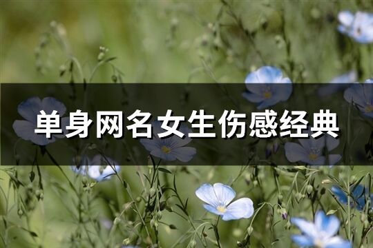 單身網(wǎng)名女生傷感經(jīng)典(70個(gè))