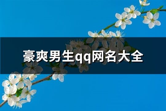 豪爽男生qq網名大全(203個)