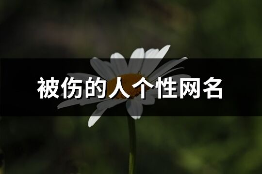 被傷的人個性網(wǎng)名(精選78個)