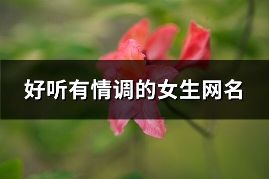 好聽有情調的女生網名(精選85個)
