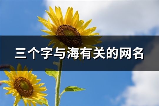 三個字與海有關的網名(52個)