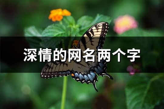 深情的網名兩個字(76個)