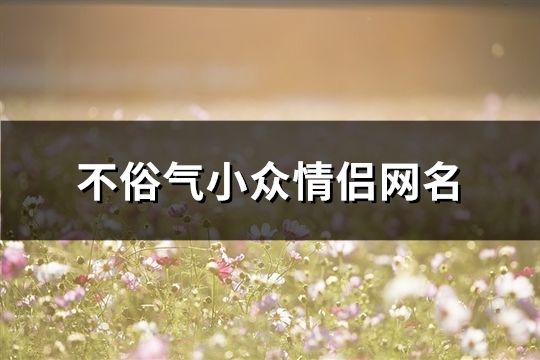 不俗氣小眾情侶網名(精選172個)