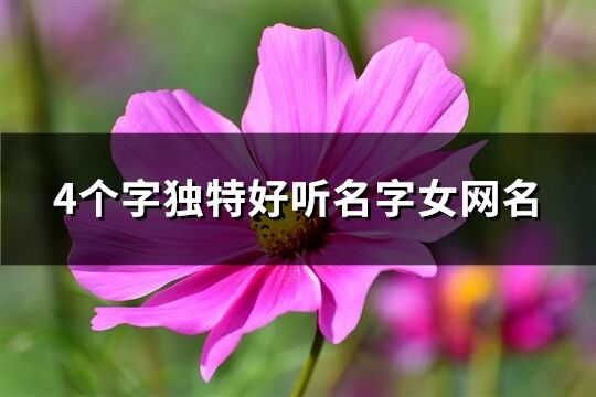 4個(gè)字獨(dú)特好聽名字女網(wǎng)名(精選142個(gè))