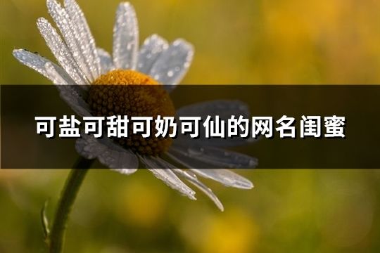 可鹽可甜可奶可仙的網名閨蜜(78個)