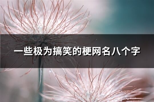 一些極為搞笑的梗網名八個字(128個)