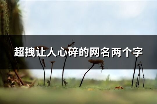 超拽讓人心碎的網(wǎng)名兩個(gè)字(精選203個(gè))