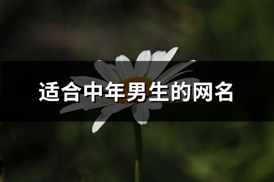 適合中年男生的網(wǎng)名(共208個(gè))