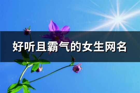 好聽且霸氣的女生網名(精選126個)