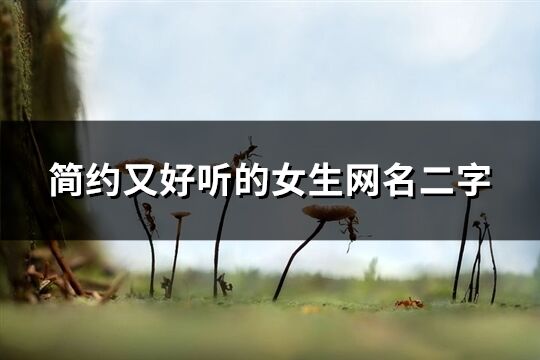 簡(jiǎn)約又好聽的女生網(wǎng)名二字(精選206個(gè))