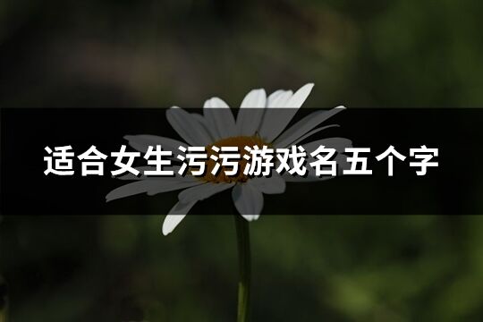 適合女生污污游戲名五個字(202個)
