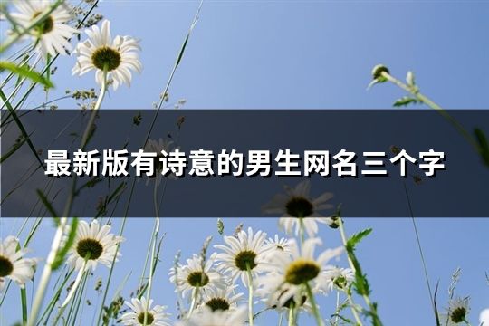 最新版有詩意的男生網名三個字(精選185個)