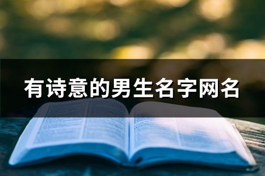 有詩意的男生名字網名(精選112個)