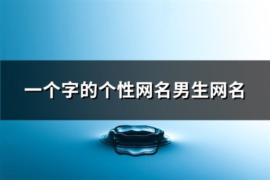 一個字的個性網名男生網名(191個)