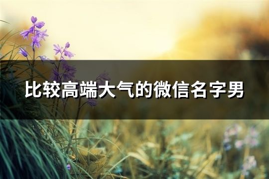 比較高端大氣的微信名字男(123個)