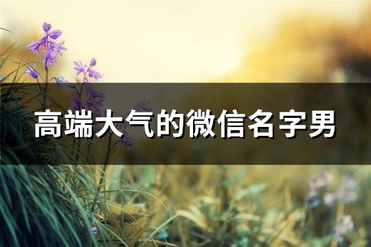 高端大氣的微信名字男(共170個(gè))