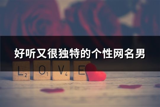 好聽又很獨(dú)特的個性網(wǎng)名男(共82個)