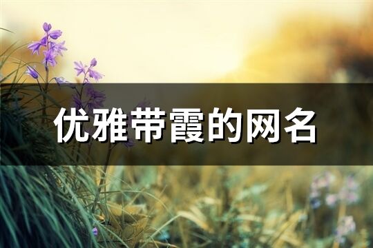 優雅帶霞的網名(63個)