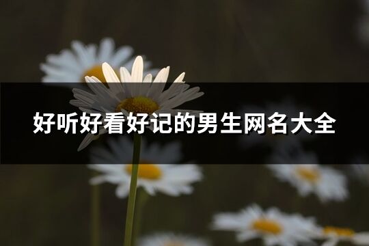 好聽好看好記的男生網名大全(146個)