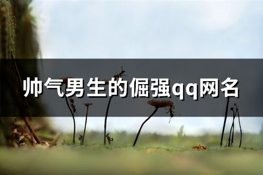 帥氣男生的倔強qq網名(精選185個)