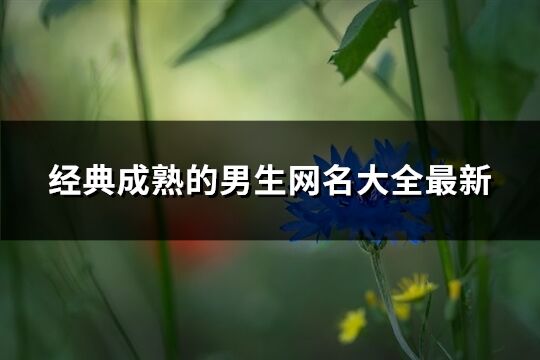 經(jīng)典成熟的男生網(wǎng)名大全最新(共157個(gè))