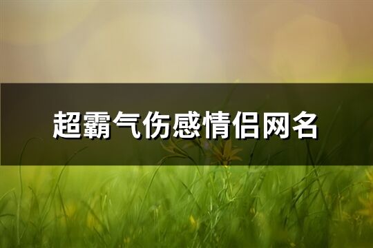 超霸氣傷感情侶網(wǎng)名(共64個(gè))