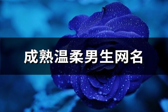 成熟溫柔男生網名(共116個)