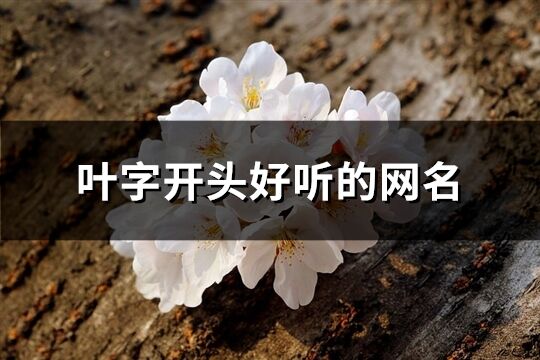 葉字開頭好聽的網(wǎng)名(共74個(gè))
