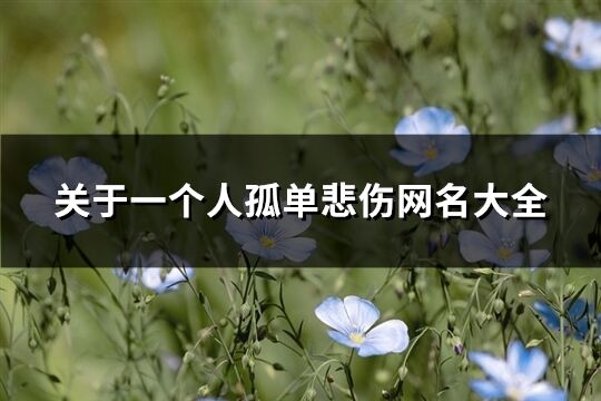 關于一個人孤單悲傷網名大全(精選127個)