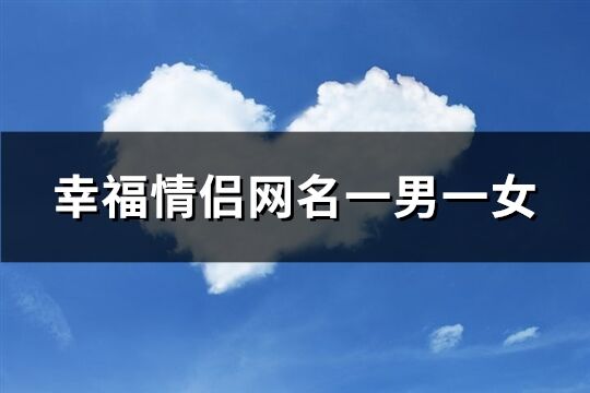 幸福情侶網名一男一女(精選132個)
