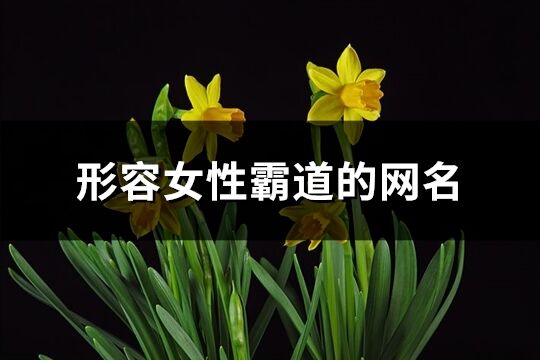 形容女性霸道的網名(精選78個)