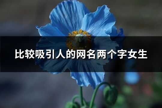 比較吸引人的網名兩個字女生(61個) 比較吸引人的網名兩個字女生(61個)