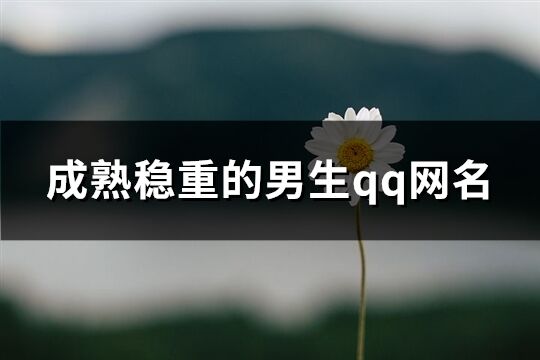 成熟穩(wěn)重的男生qq網(wǎng)名(共193個)