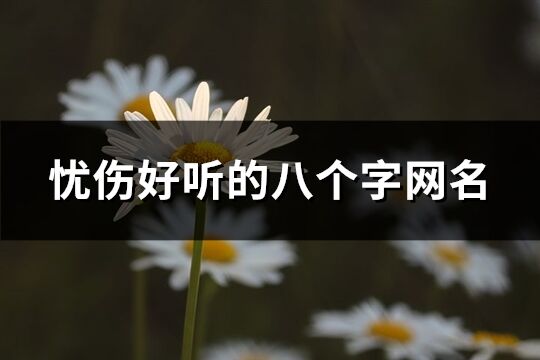 憂傷好聽的八個字網名(共152個)