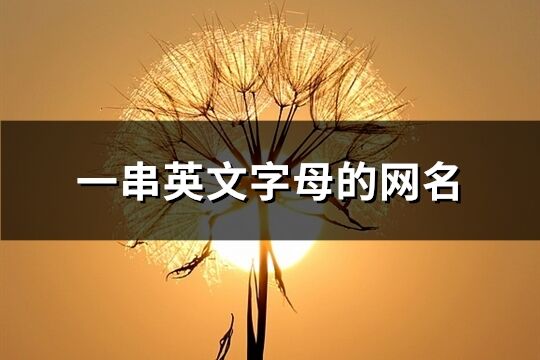 一串英文字母的網(wǎng)名(146個)