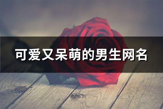 可愛又呆萌的男生網(wǎng)名(精選148個)