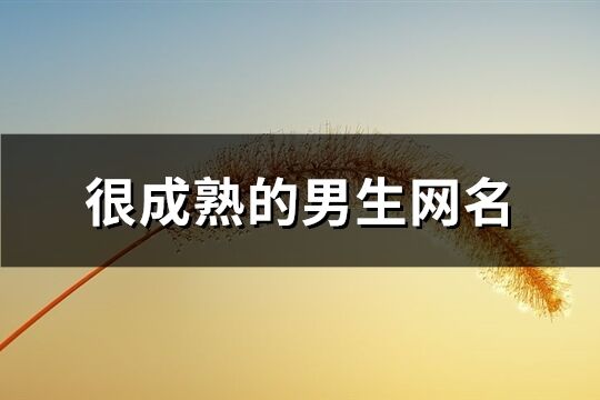 很成熟的男生網(wǎng)名(144個(gè))