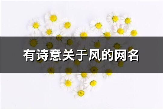 有詩意關于風的網名(共192個)