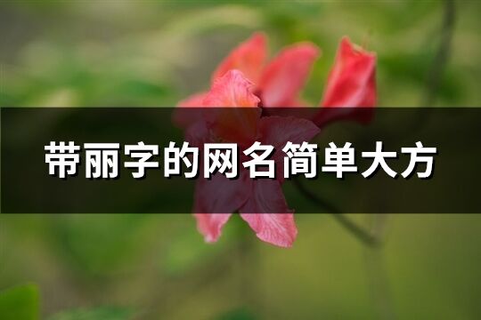 帶麗字的網名簡單大方(共84個)